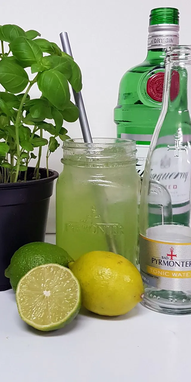 Gin Basil Smash